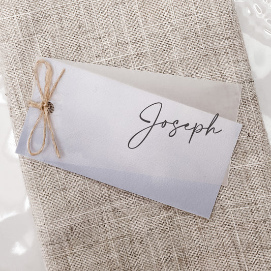 Winter Blue Vellum Place Card