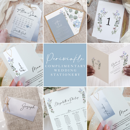 Periwinkle Wedding Menu Cards with Guest Name Tags & Ribbon